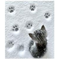 Фото автора Альбина